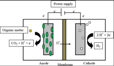 MEC Diagram. All Rights Reserved.