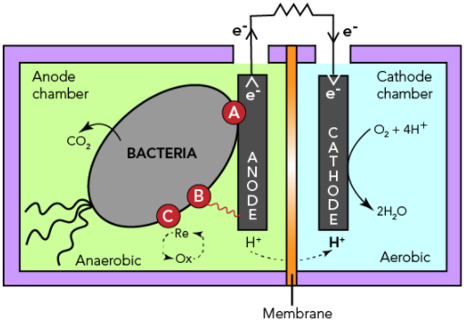 MFC Diagram. All Rights Reserved.