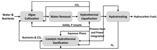 Process flow diagram of HTL process of algal/wet biomass. All rights reserved.