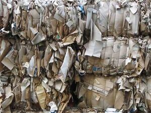 Recycled cardboard in bales