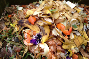 Picture of Food Waste source Mental Floss