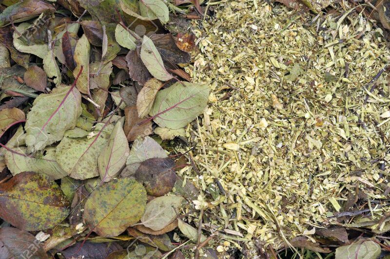 File:Garden Waste Picture.jpg