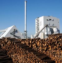 Steven's Croft Biomass Facility - a facility that handles both virgin wood and waste wood biomass